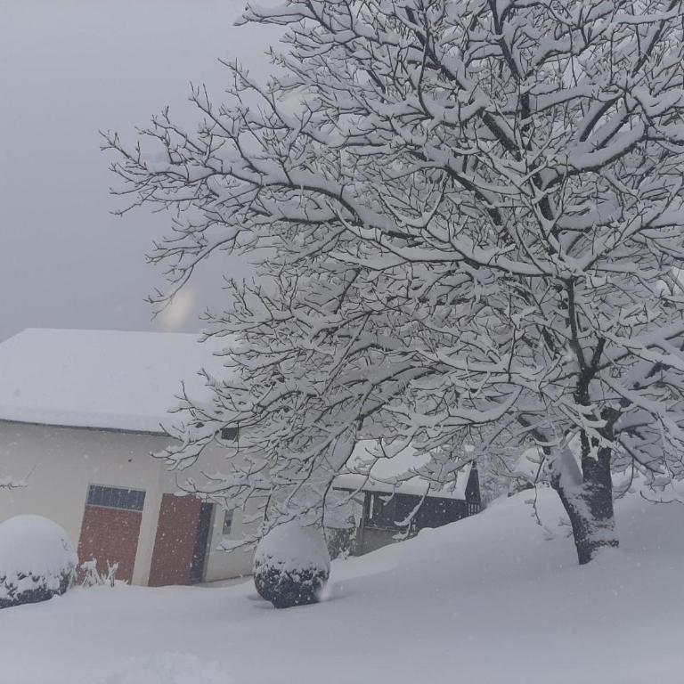 Planinska kuća ,,Furtula" Jahorina - Three-Bedroom House - 1