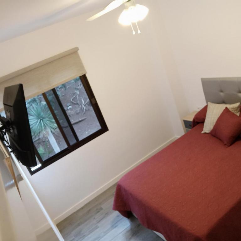 Apartamento Playa La Arena - Two-Bedroom Apartment - 5