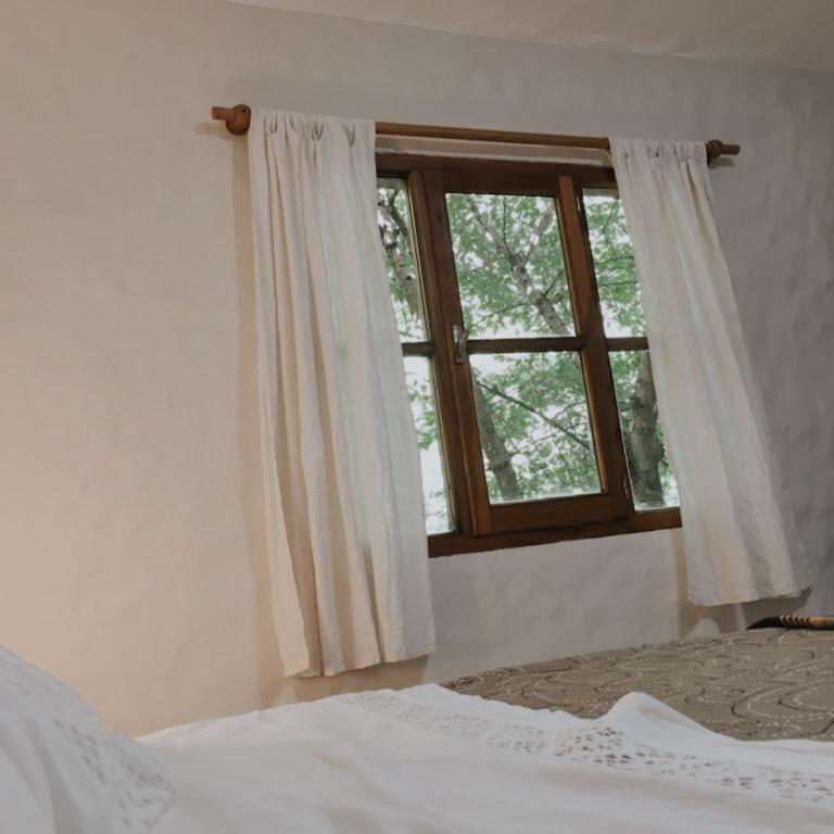 Hostería de Montaña Las Pataguas - Habitación Doble - 4