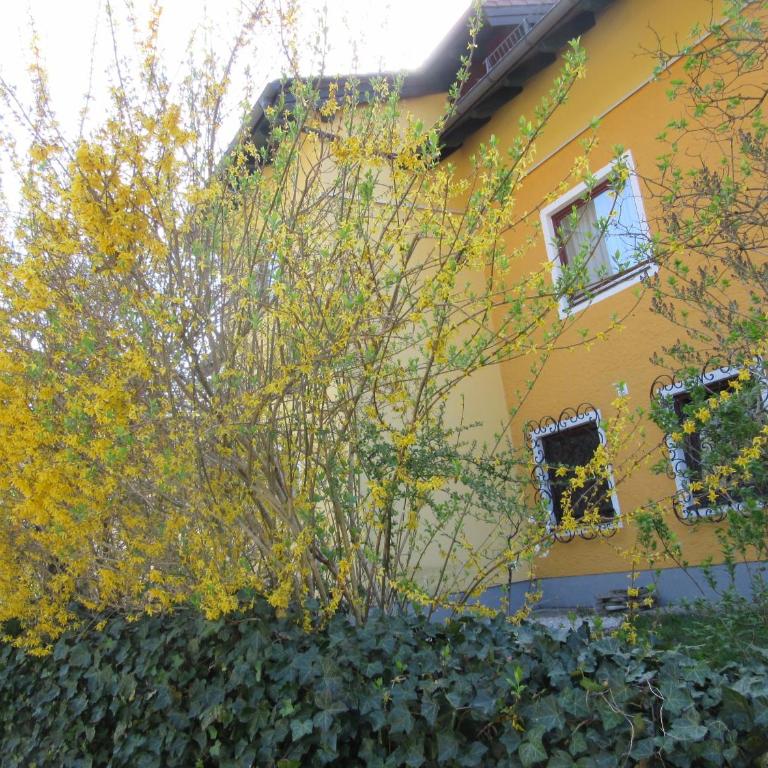 Appartement-Heuberg - Apartment mit 3 Schlafzimmern - 33