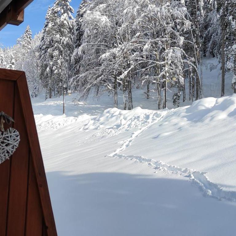 Appartamento Campiglio - Appartamento - 36