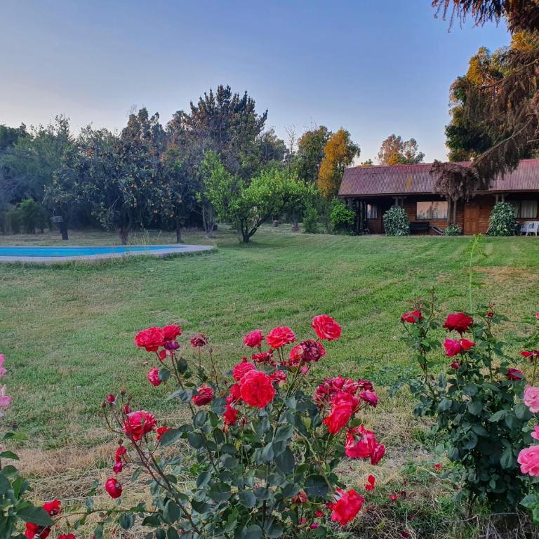 Parcela de 3 hectáreas con orilla de Lago - Casa de 4 dormitorios - 6