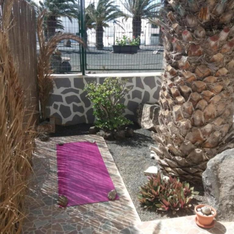 Casita Mary - Habitación Doble con baño privado - 6