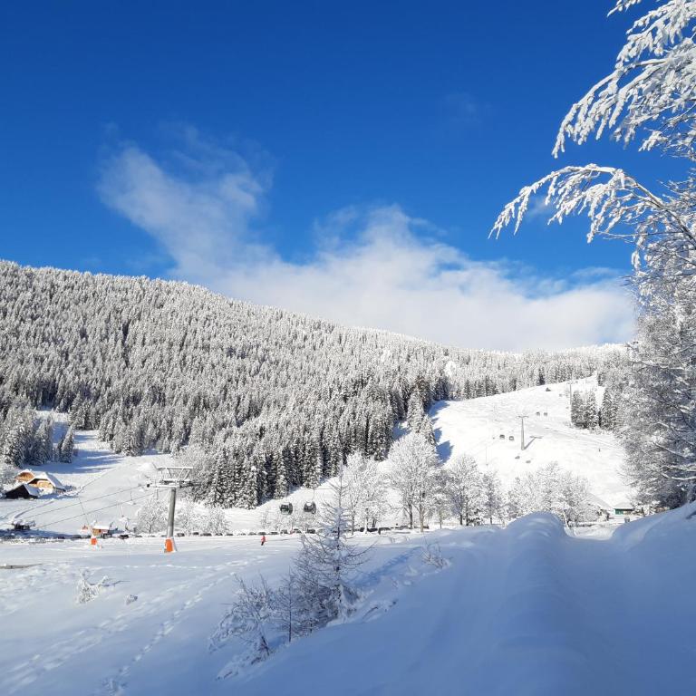 Chalet Verdino - Chalet - 25