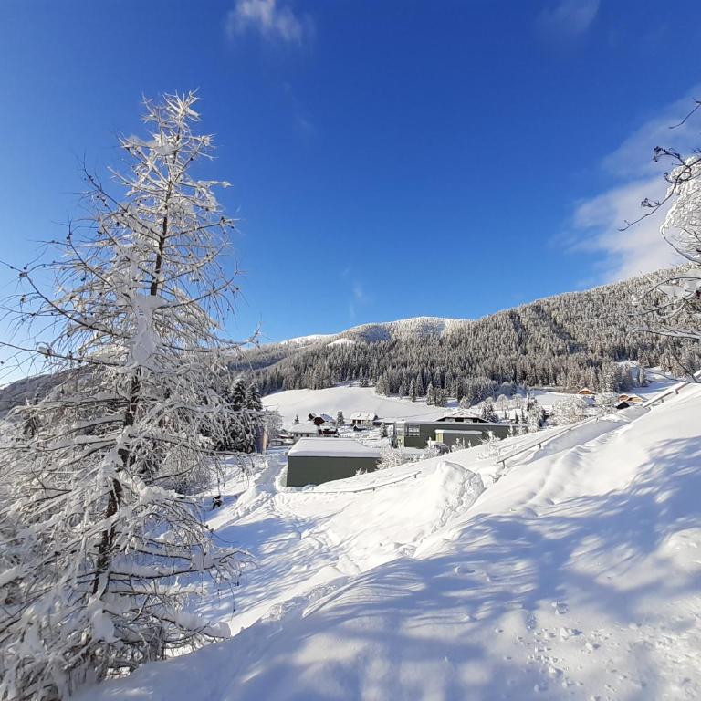 Chalet Verdino - Chalet - 24