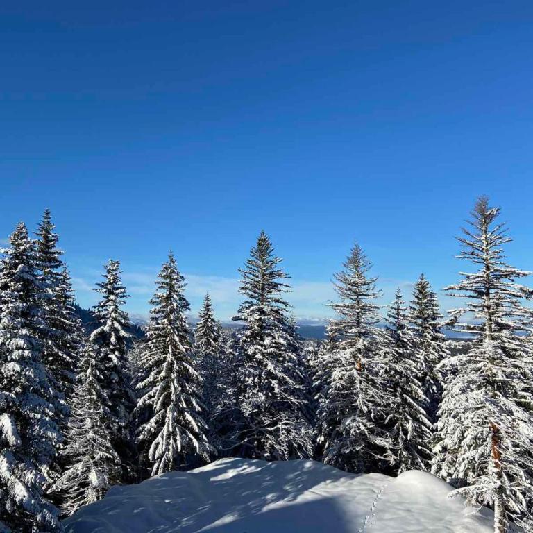APARTMANI POLARIS JAHORINA - One-Bedroom Apartment - 1