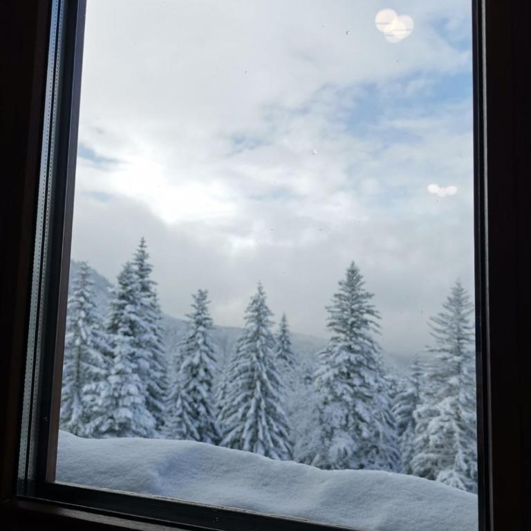APARTMANI POLARIS JAHORINA - Two-Bedroom Apartment - 6