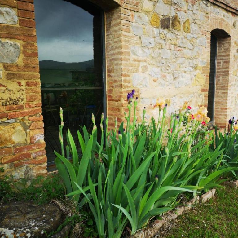 Agriturismo Poggiarellino - Montalcino - Appartamento con 2 Camere da Letto - 32