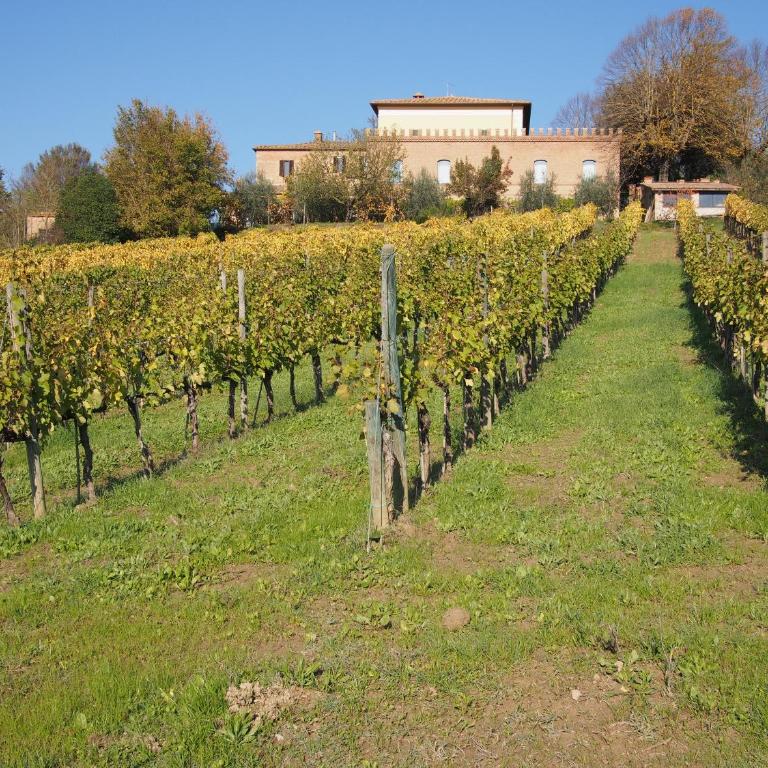 Agriturismo Poggiarellino - Montalcino - Appartamento con 2 Camere da Letto - 29