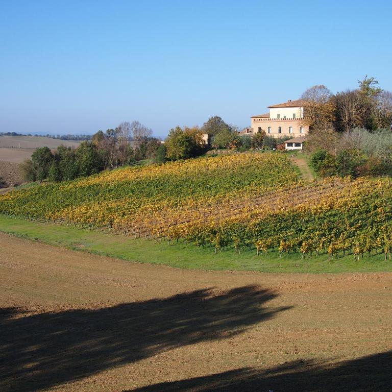Agriturismo Poggiarellino - Montalcino - Appartamento con 2 Camere da Letto - 28