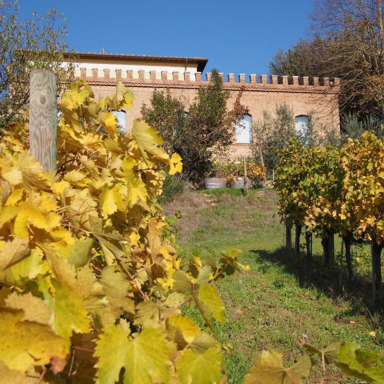 Agriturismo Poggiarellino - Montalcino - Appartamento con 2 Camere da Letto - 24