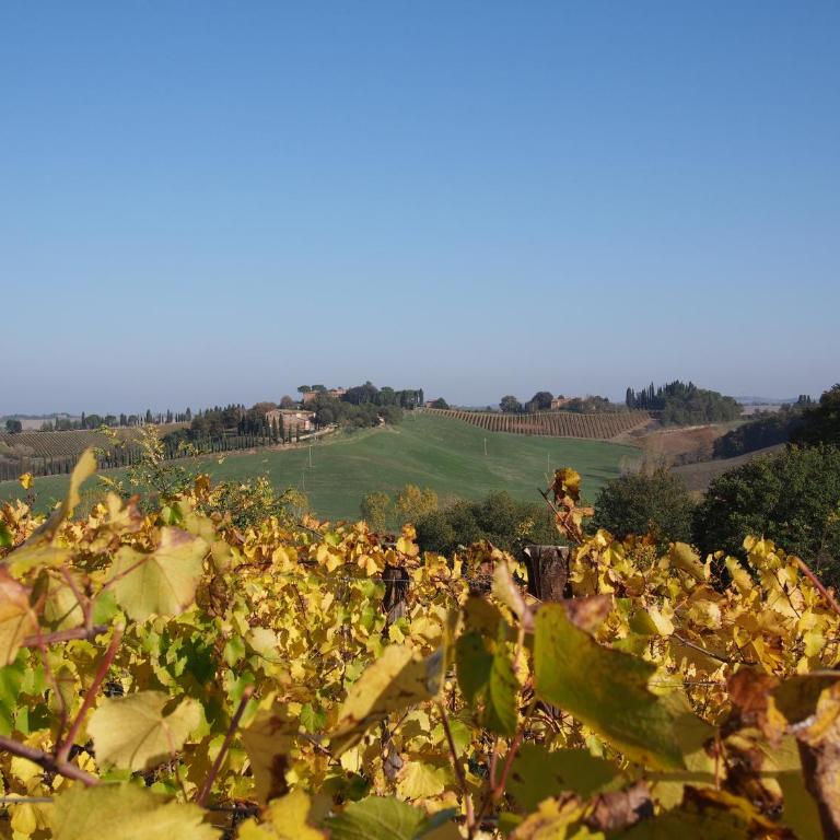 Agriturismo Poggiarellino - Montalcino - Appartamento con 2 Camere da Letto - 25