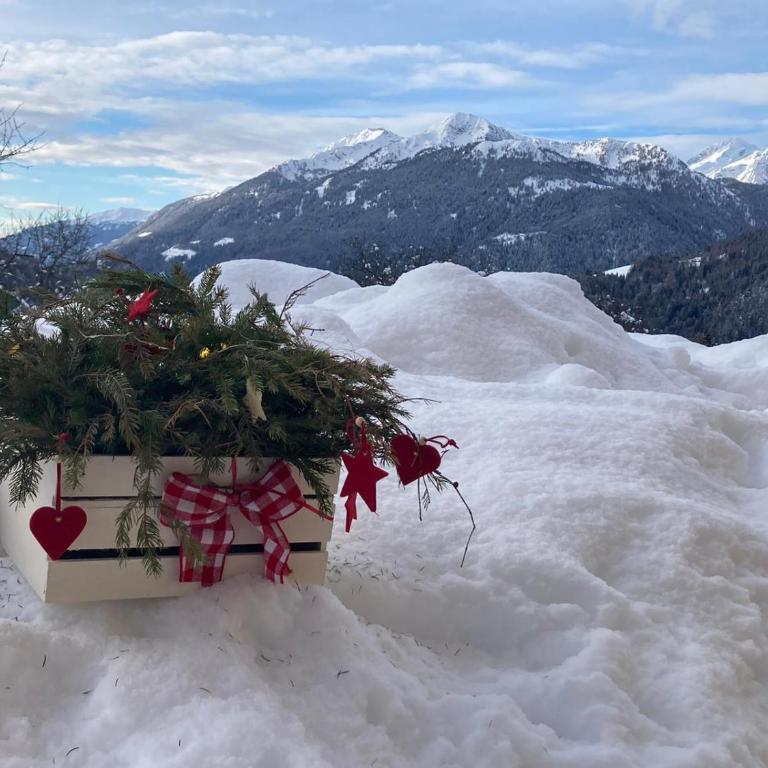 Adamello Brenta Sunshine - Appartamento con 2 Camere da Letto - 15