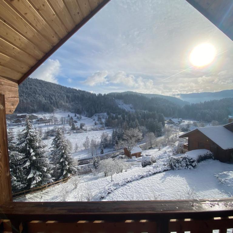 Chalet de la Grimpette au coeur de Gérardmer - Chalet 2 Chambres - 24