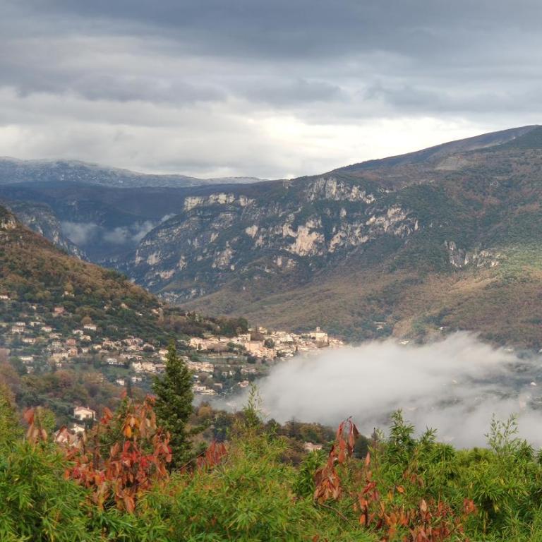 Bambou entre Mer et Montagnes - Maison 3 Chambres - 25