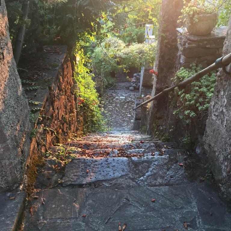 il Frantoio del Mesco - Levanto - Appartamento con 3 Camere da Letto - 39