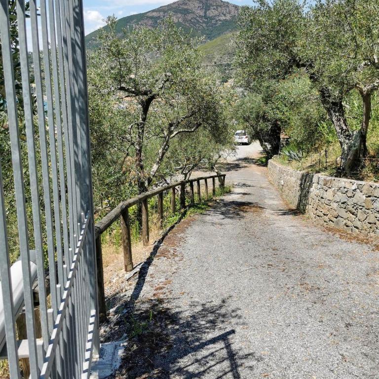 il Frantoio del Mesco - Levanto - Appartamento con 3 Camere da Letto - 37
