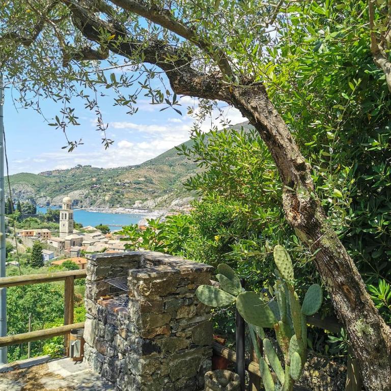 il Frantoio del Mesco - Levanto - Appartamento con 3 Camere da Letto - 30