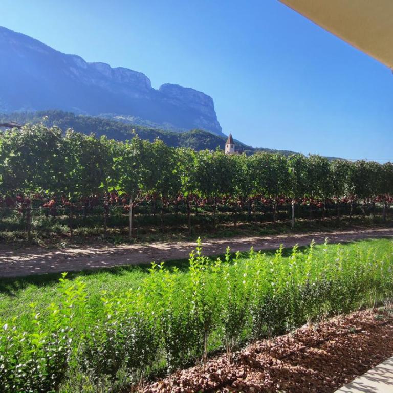 Highlight Apartments - Appartamento - Piano Terra - 1