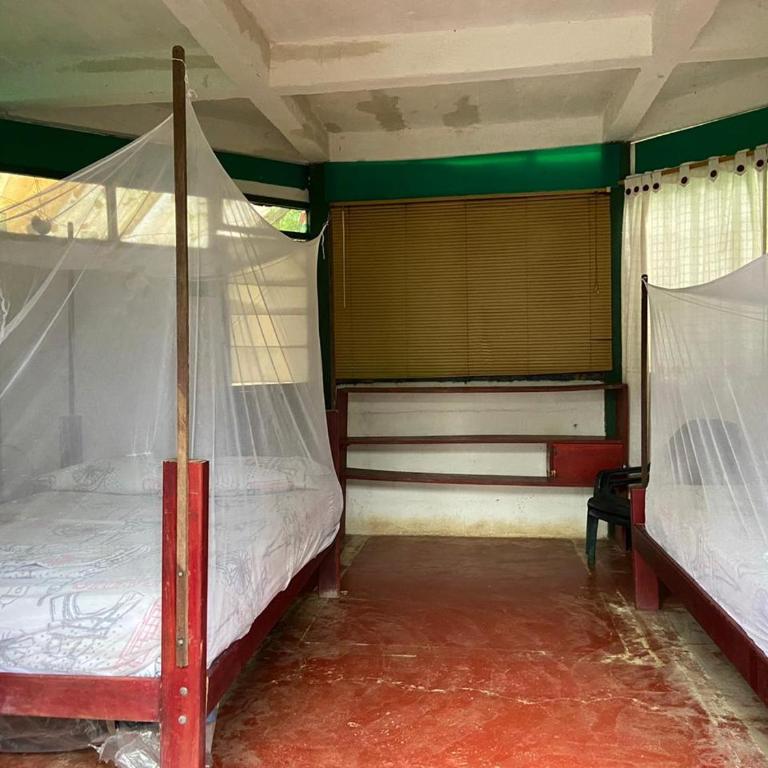 Hostal El Chileno Sapzurro - Habitación Cuádruple con baño privado - 1