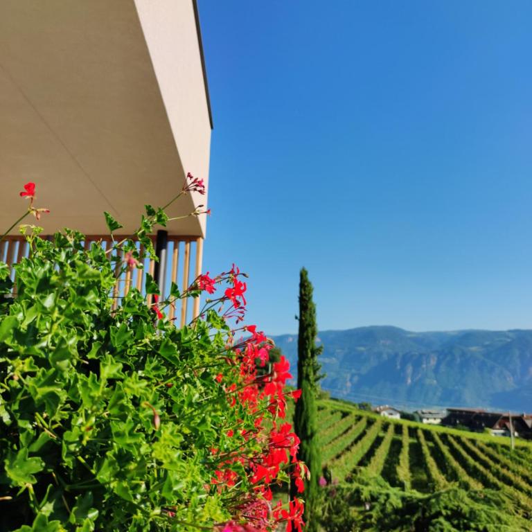 Highlight Apartments - Appartamento con 1 Camera da Letto - 9