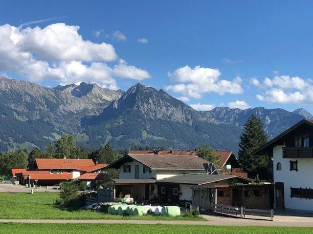 Bergkristall - Freie Fahrt Allgäuer Hörnerbahnen im Sommer - Standard Studio für 3 Personen - 13