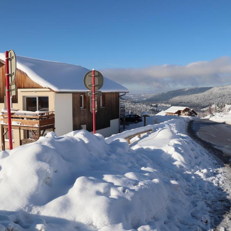 Apartment Location Les balcons de La Mauselaine - Appartement avec Vue sur la Montagne - 14