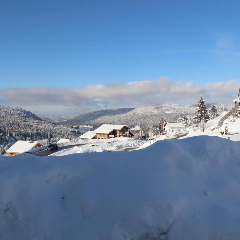 Apartment Location Les balcons de La Mauselaine - Appartement avec Vue sur la Montagne - 11