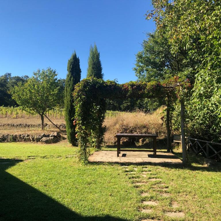 podere campanella - Villa - 8