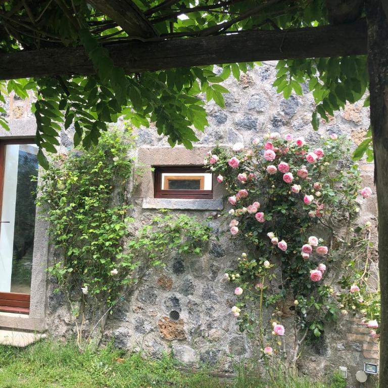 podere campanella - Villa - 12