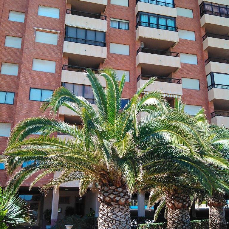 Apartamento Roses - Apartamento con balcón - 4