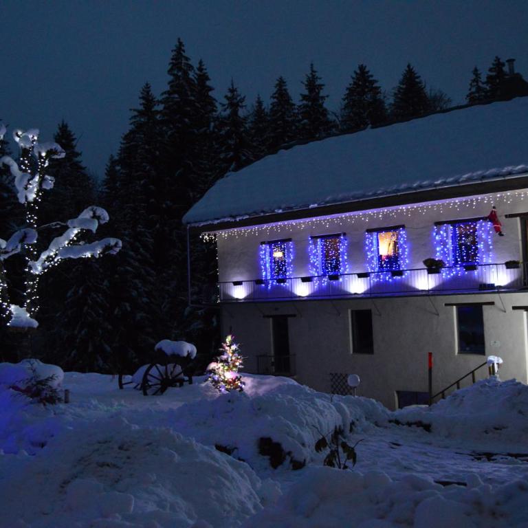 Le Moulin des Olirics - Apartment mit 2 Schlafzimmern und Bergblick - 46