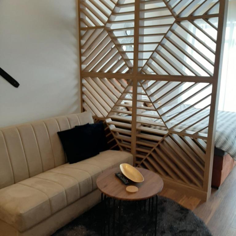 PRESIDENT KOP A-1 - Apartman sa Pogledom na Planinu - 7