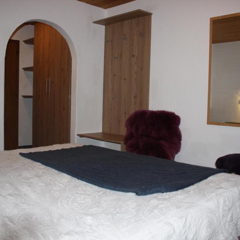 Ferienhaus Penz - Ferienhaus - 16