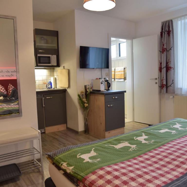 Appartementhaus Theresia - Studio-Apartment - 2
