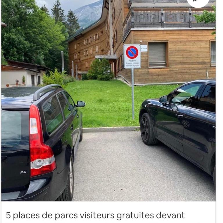 Magnifique appartement aux Diablerets avec vue imprenable - Apartment mit 1 Schlafzimmer - 2
