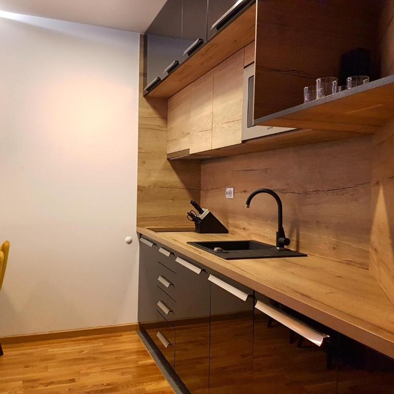 APARTHOTEL CENTRALA Apartman 10 - Apartman sa 1 Spavaćom Sobom - 9