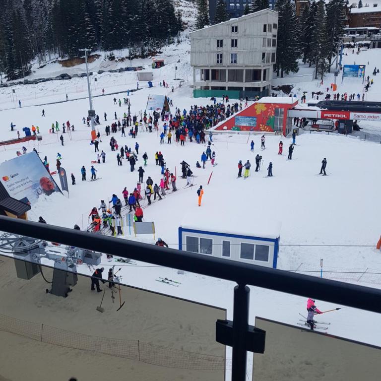 APARTHOTEL CENTRALA Apartman 10 - Apartman sa 1 Spavaćom Sobom - 10