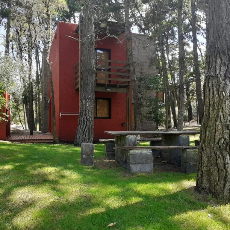La Dorita - Vacation Home - 22