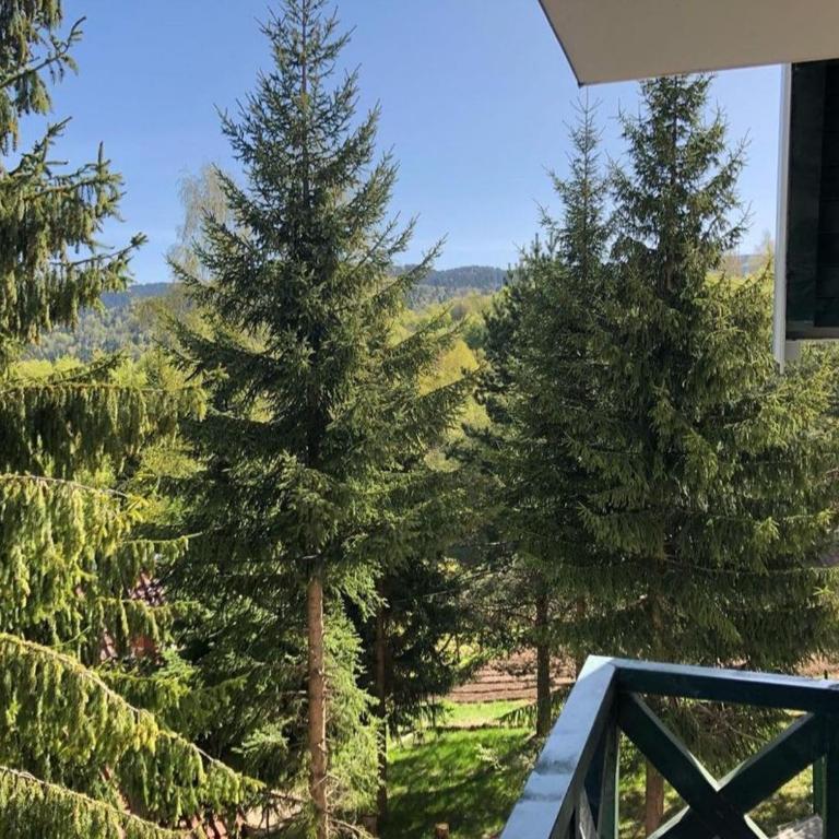 Soko lux apartman - Apartman sa 1 Spavaćom Sobom - 6