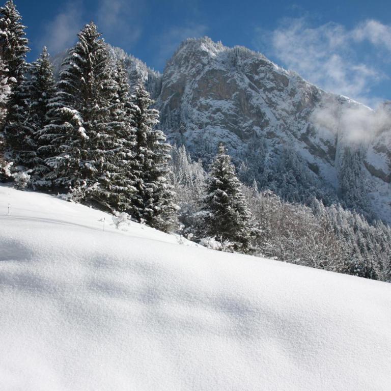 La Case - Chalet Supérieur - 18