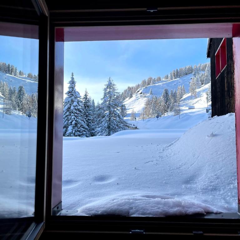 Casa Mammolo Falcade - Appartamento con 1 Camera da Letto - 16