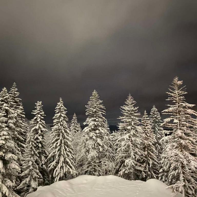 Jahorina 7Lux - One-Bedroom Apartment - 54