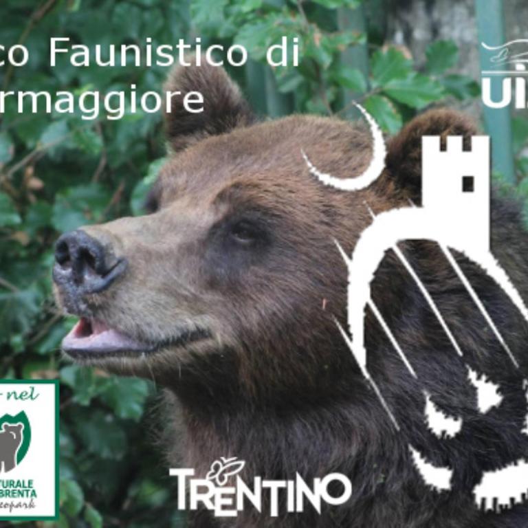 Casa Dalsass - Appartamenti nel verde - One-Bedroom Apartment - 12