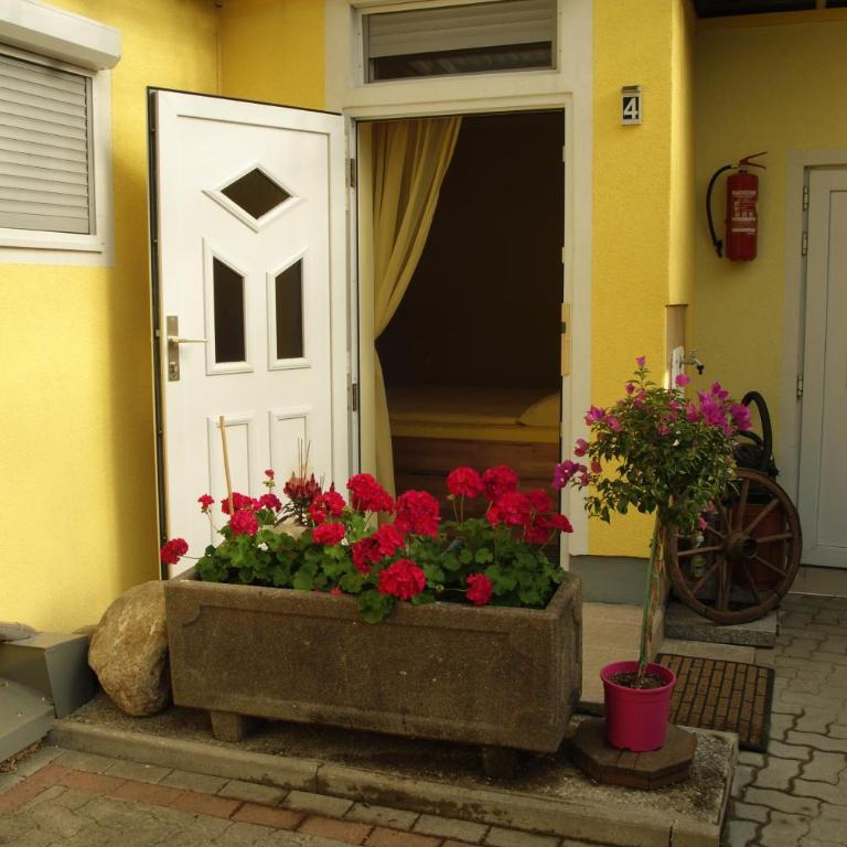 Ferienwohnungen Schiller - Apartment mit Gartenblick - Nr. 4 - 5