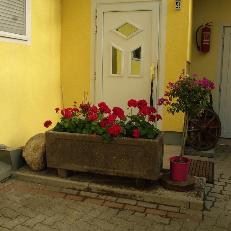 Ferienwohnungen Schiller - Apartment mit Gartenblick - Nr. 4 - 3