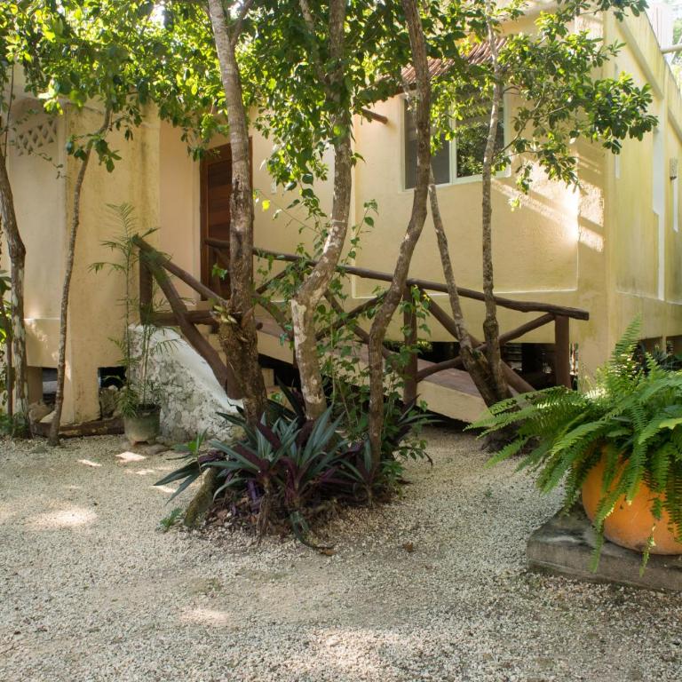 Eco Bungalow Bé La Kin - Apartamento de 1 dormitorio - 9