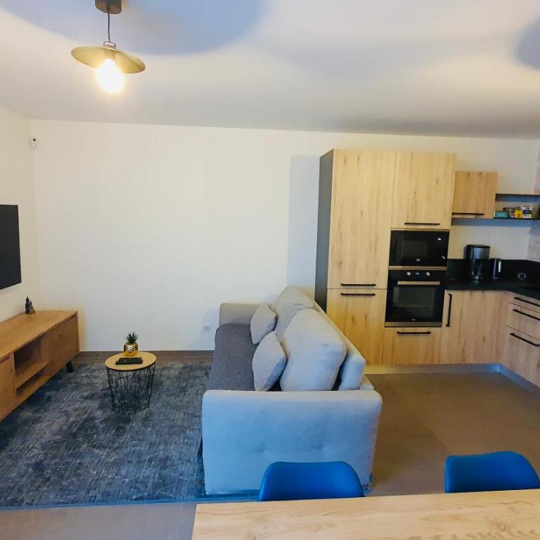 Le petit marquisat à deux pas du lac - Apartment mit 1 Schlafzimmer - 12