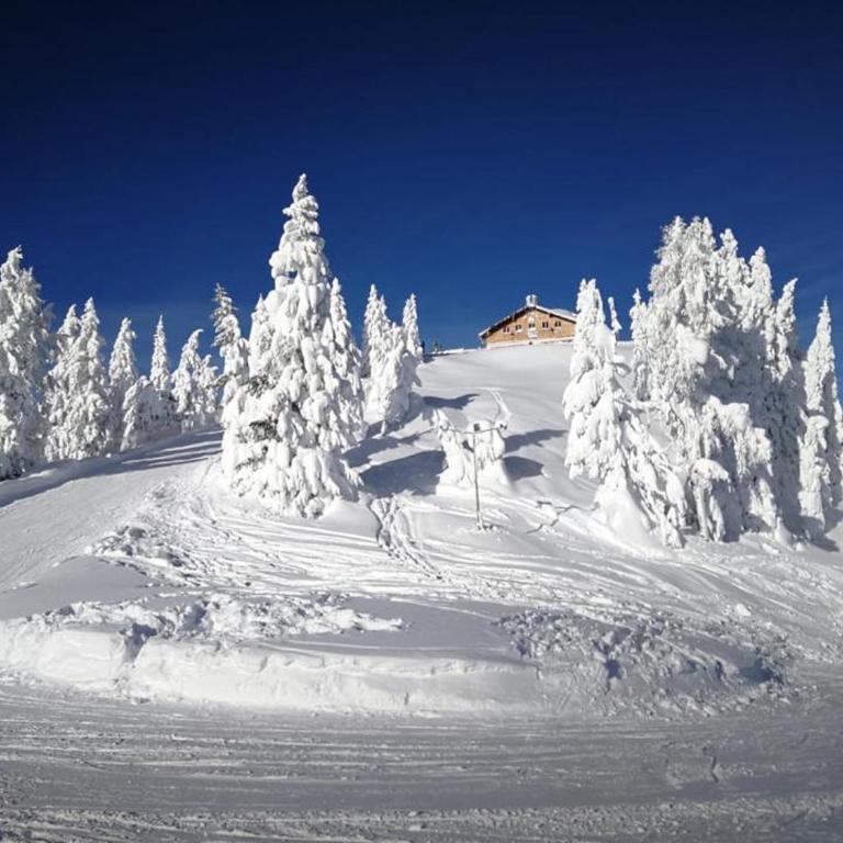 Appartements Wilma - Apartment mit Blick auf die Berge - 22