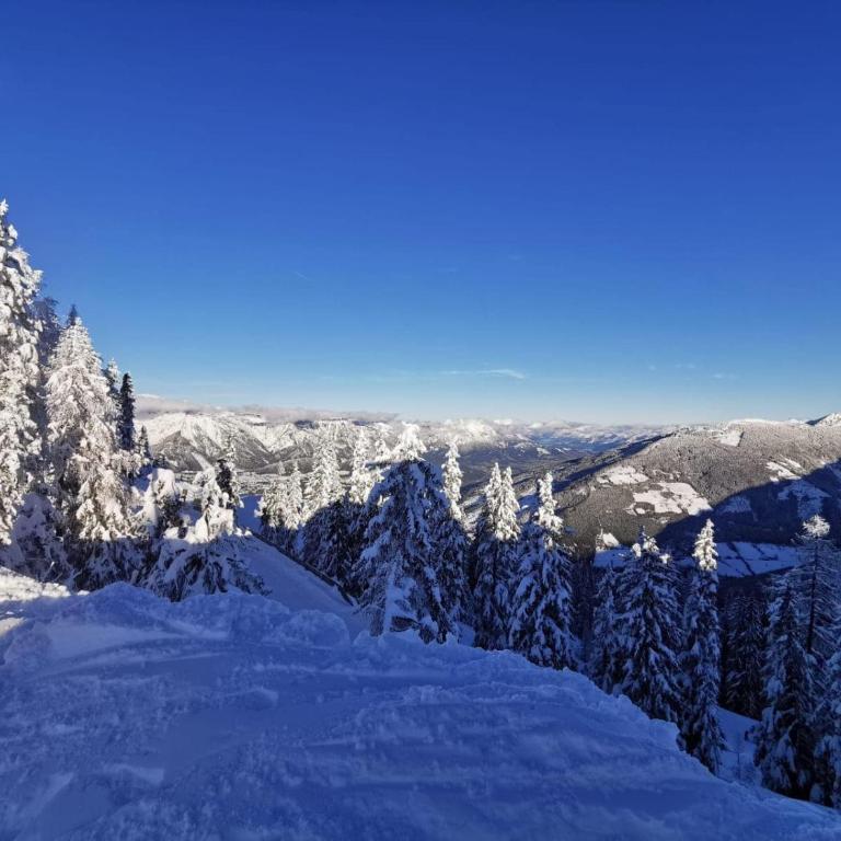 Appartements Wilma - Apartment mit Blick auf die Berge - 23